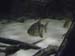 thumbnail073
